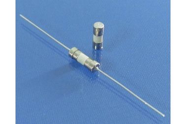 3,6 x 10mm der langsame Schlag-Glassicherung, verlangsamen Schlag-axiale verbleite Patronensicherung