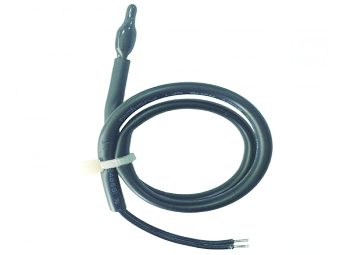 Pentair 471566 Thermistor Sonde – Ersatzsensor Für Pool-/Spa-Heizungen (Minimax NT, Ultratemp, ThermalFlo)